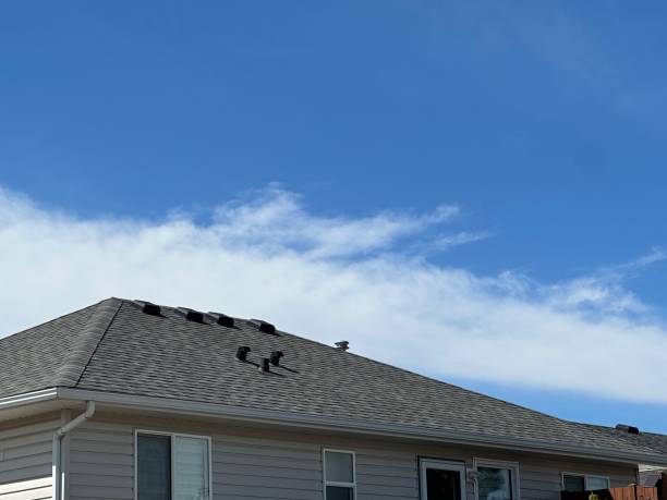 Best Roof Maintenance and Cleaning  in Ashley, OH